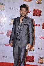 at Stardust Awards 2013 red carpet in Mumbai on 26th jan 2013 (473).JPG
